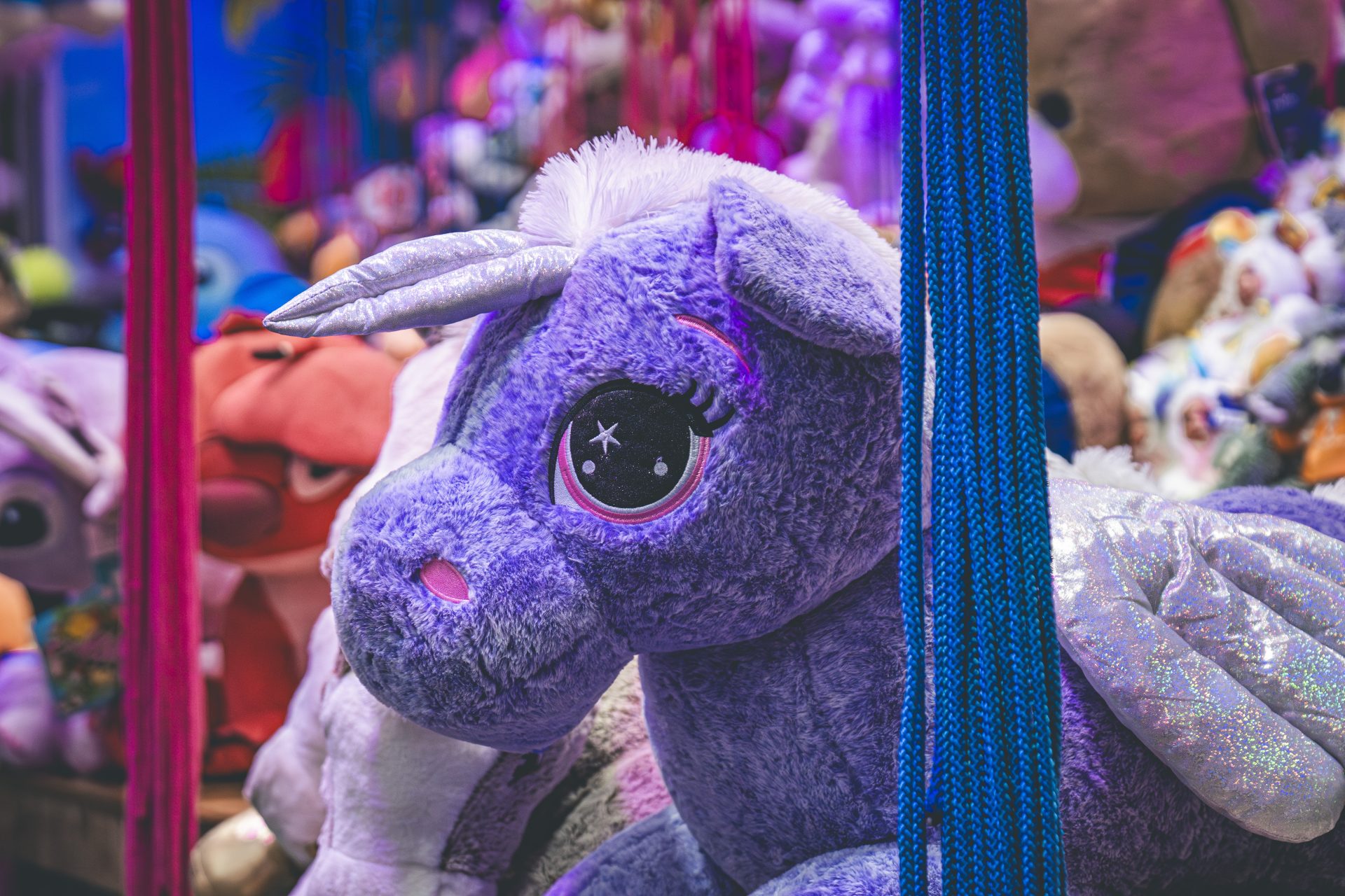 DSC02750-Avec accentuation-NR