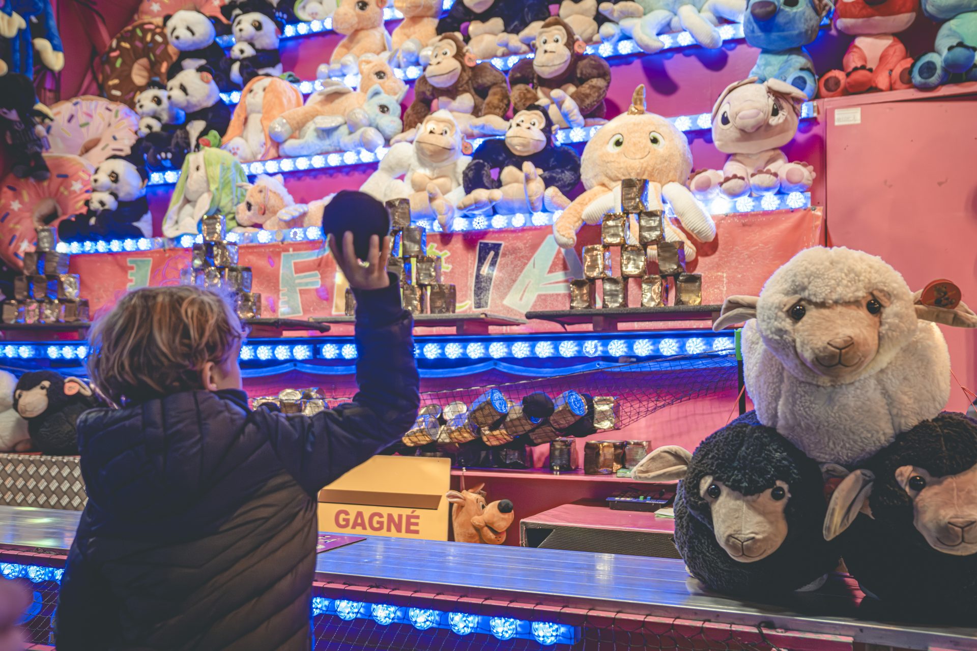 DSC03169-Avec accentuation-NR